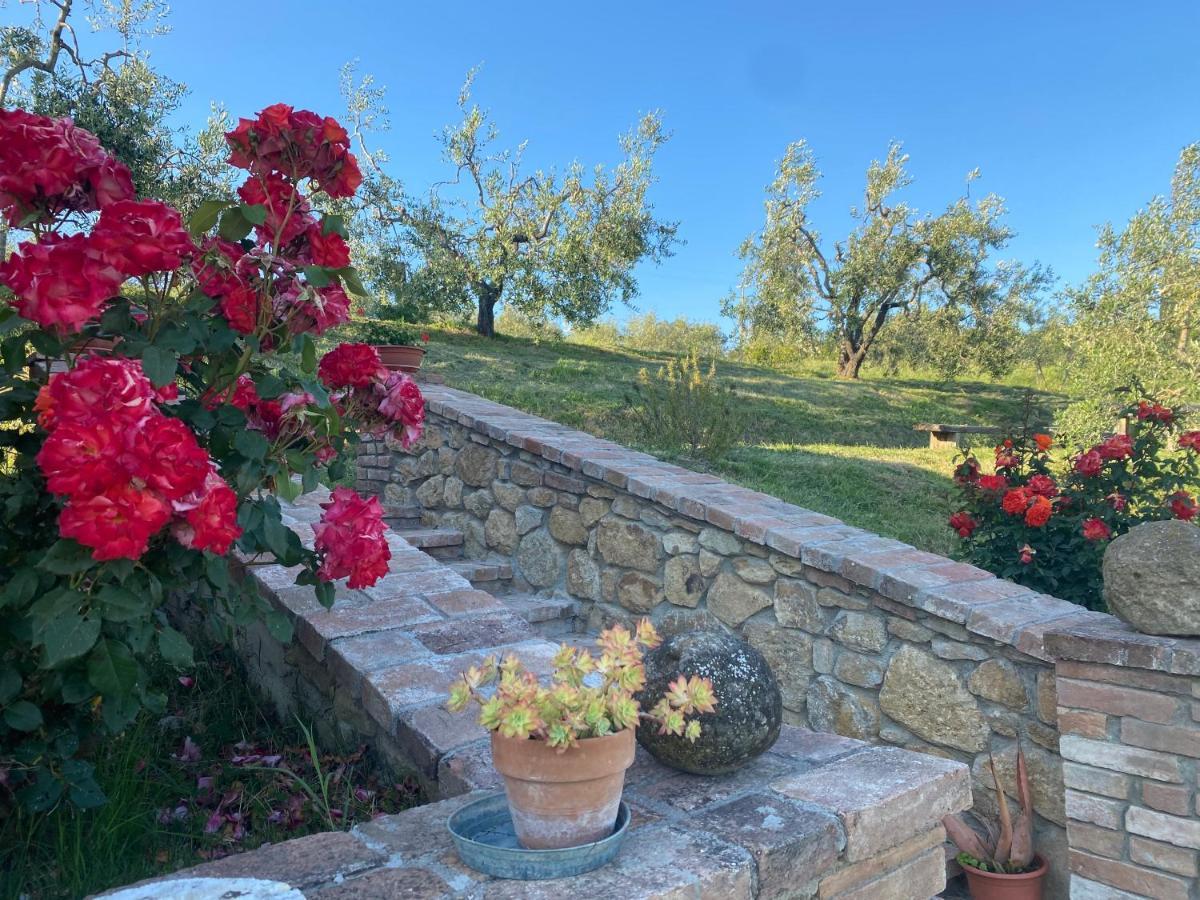 Agriturismo Casallario Volterra Exteriör bild