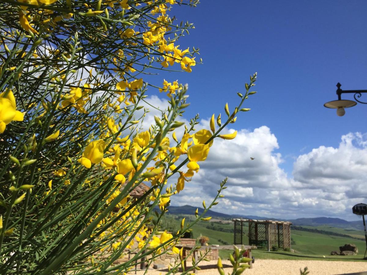 Agriturismo Casallario Volterra Exteriör bild